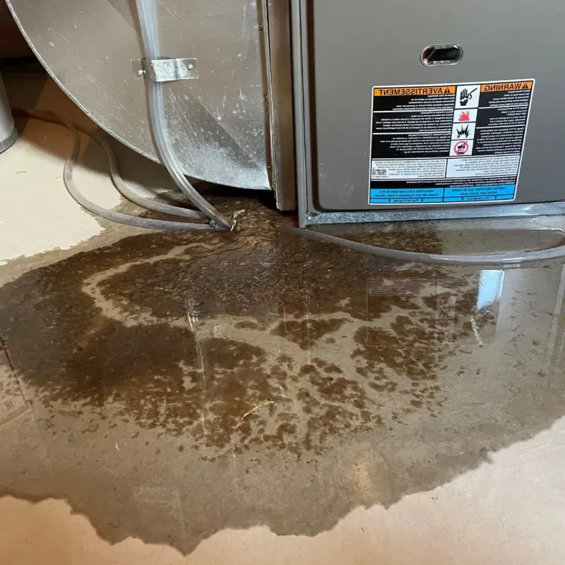 Pipe Burst and Leak Restoration in Aurora County, SD