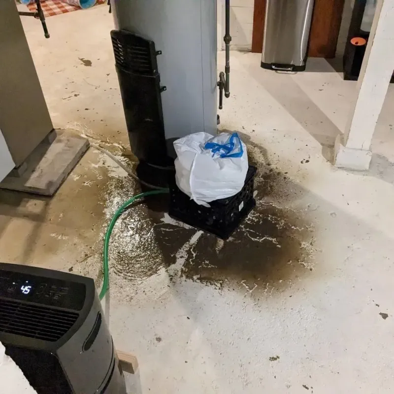 Sewage Backup Cleanup Service in Aurora County, SD